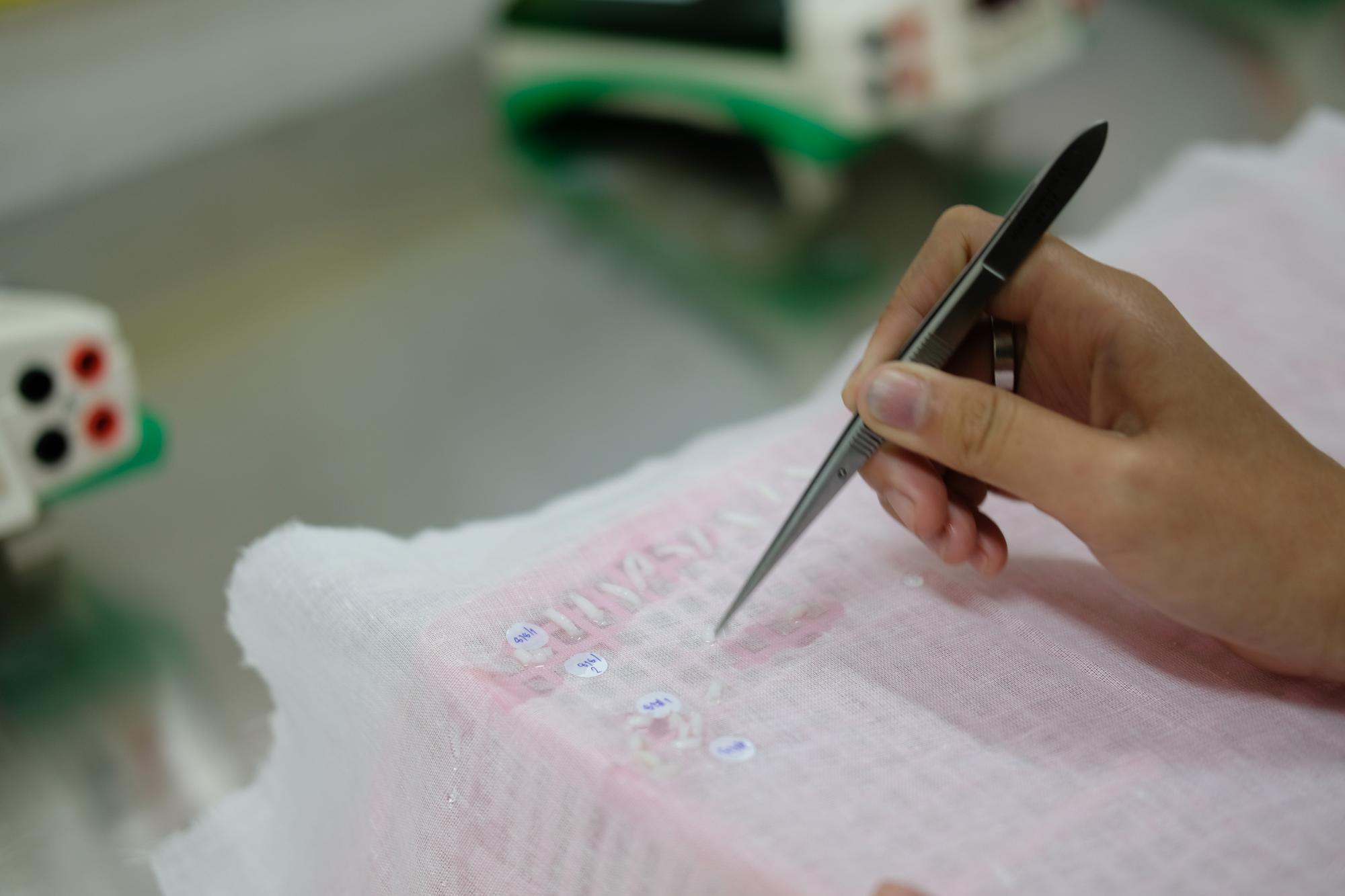 Dettaglio di ricamo industriale su tessuto tecnico